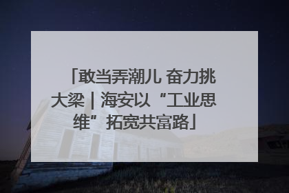 敢当弄潮儿 奋力挑大梁｜海安以“工业思维”拓宽共富路