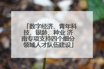 数字经济、青年科技、银龄、种业 济南专项支持四个细分领域人才队伍建设