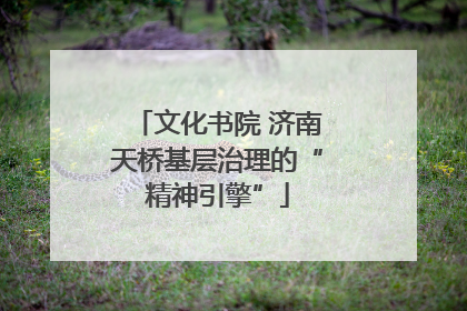 文化书院 济南天桥基层治理的“精神引擎”