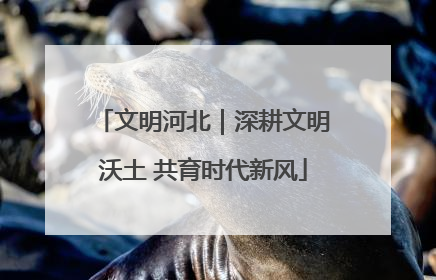 文明河北｜深耕文明沃土 共育时代新风
