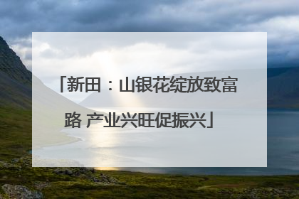 新田：山银花绽放致富路 产业兴旺促振兴