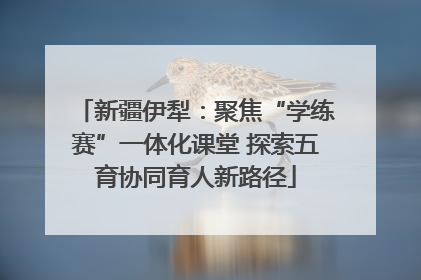 新疆伊犁：聚焦“学练赛”一体化课堂 探索五育协同育人新路径