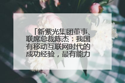 新紫光集团董事、联席总裁陈杰：我国有移动互联网时代的成功经验，最有能力做好AI应用创新