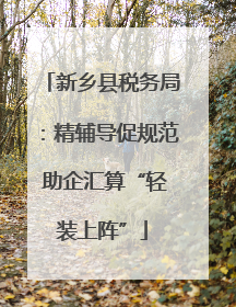 新乡县税务局：精辅导促规范 助企汇算“轻装上阵”