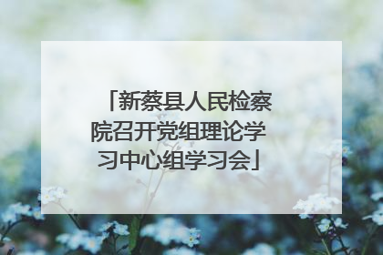 新蔡县人民检察院召开党组理论学习中心组学习会
