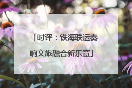 时评：铁海联运奏响文旅融合新乐章