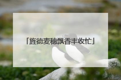 旌德麦穗飘香丰收忙