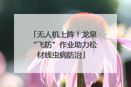 无人机上阵！龙泉“飞防”作业助力松材线虫病防治