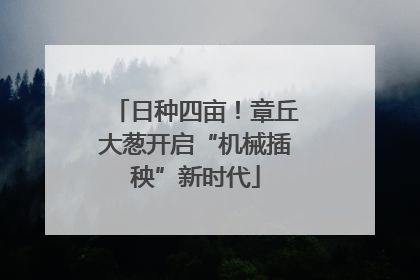 日种四亩！章丘大葱开启“机械插秧”新时代