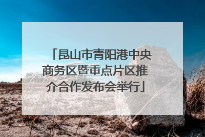 昆山市青阳港中央商务区暨重点片区推介合作发布会举行