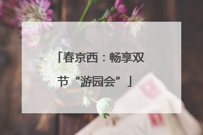 春京西：畅享双节“游园会”