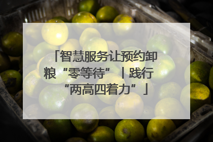 智慧服务让预约卸粮“零等待”丨践行“两高四着力”