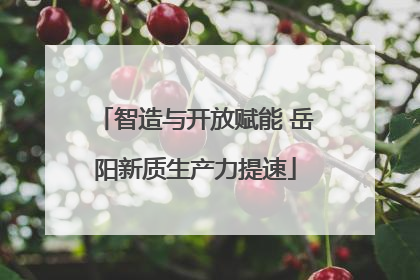 智造与开放赋能 岳阳新质生产力提速
