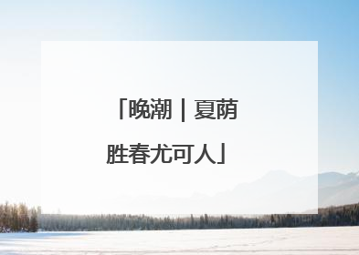 晚潮｜夏荫胜春尤可人