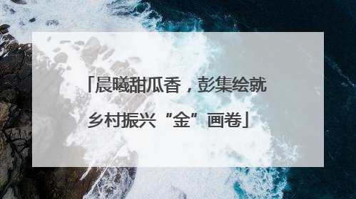 晨曦甜瓜香，彭集绘就乡村振兴“金”画卷