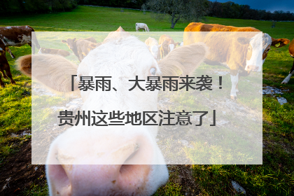 暴雨、大暴雨来袭！贵州这些地区注意了