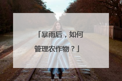 暴雨后，如何管理农作物？