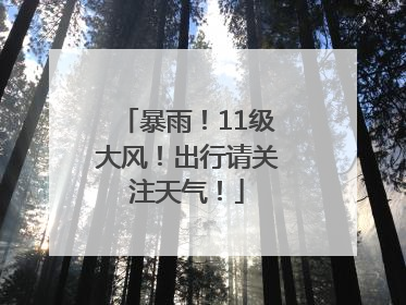 暴雨！11级大风！出行请关注天气！