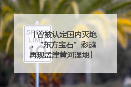 曾被认定国内灭绝，“东方宝石”彩鹮再现孟津黄河湿地