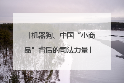 机器狗、中国“小商品”背后的司法力量
