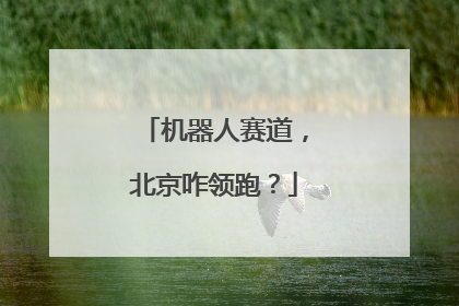 机器人赛道，北京咋领跑？
