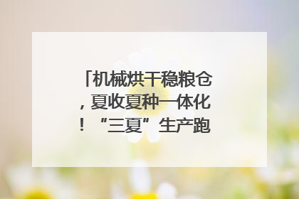 机械烘干稳粮仓，夏收夏种一体化！“三夏”生产跑出加速度｜麦报