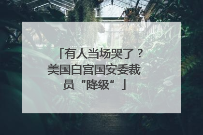 有人当场哭了？美国白宫国安委裁员“降级”