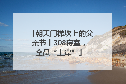 朝天门梯坎上的父亲节丨308寝室，全员“上岸”