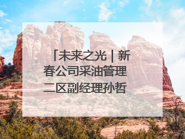 未来之光｜新春公司采油管理二区副经理孙哲的油田进化论