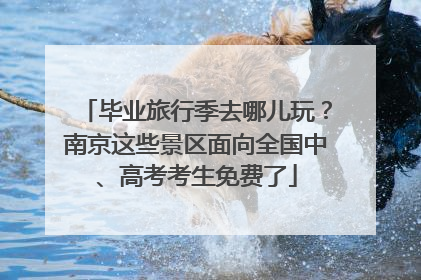 毕业旅行季去哪儿玩？南京这些景区面向全国中、高考考生免费了