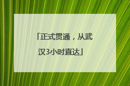 正式贯通，从武汉3小时直达