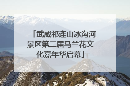 武威祁连山冰沟河景区第二届马兰花文化嘉年华启幕