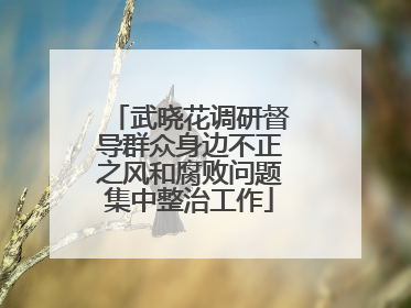 武晓花调研督导群众身边不正之风和腐败问题集中整治工作