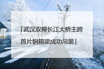武汉双柳长江大桥主跨首片钢箱梁成功吊装