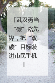 武汉勇当“碳”路先锋，把“双碳”目标装进市民手机