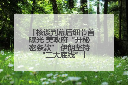 核谈判幕后细节首曝光 美政府“开秘密条款” 伊朗坚持“三大底线”