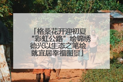 格桑花开迎初夏 “彩虹公路”绘锦绣 德兴以生态之笔绘就宜居幸福图景