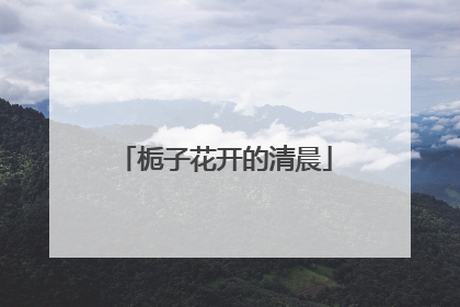栀子花开的清晨