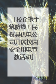 校企携手筑防线！民权县供电公司开展校园安全用电宣教活动