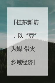 桂东新坊：以“豆”为媒 带火乡域经济