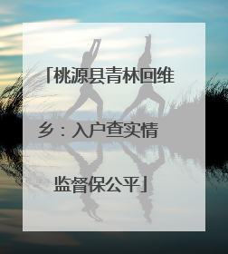 桃源县青林回维乡：入户查实情 监督保公平