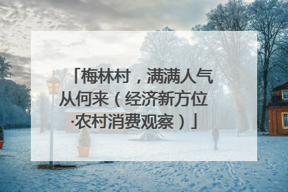 梅林村，满满人气从何来（经济新方位·农村消费观察）