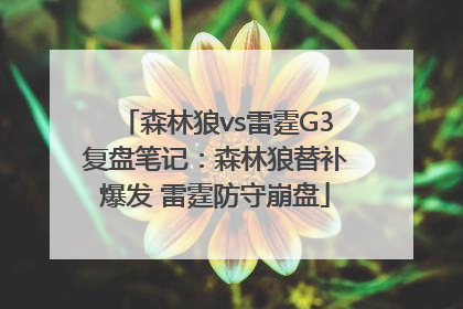 森林狼vs雷霆G3复盘笔记：森林狼替补爆发 雷霆防守崩盘