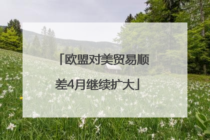 欧盟对美贸易顺差4月继续扩大