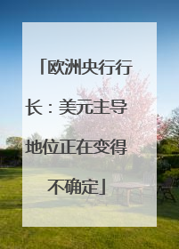 欧洲央行行长：美元主导地位正在变得不确定
