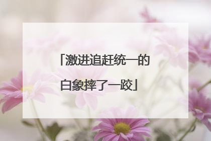 激进追赶统一的白象摔了一跤
