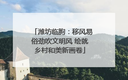 潍坊临朐：移风易俗劲吹文明风 绘就乡村和美新画卷