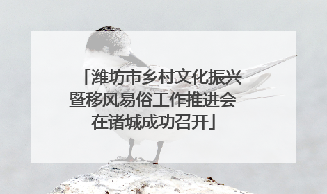 潍坊市乡村文化振兴暨移风易俗工作推进会在诸城成功召开