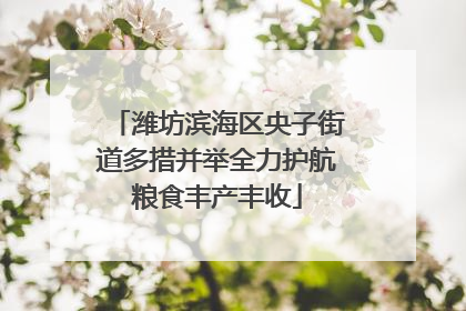 潍坊滨海区央子街道多措并举全力护航粮食丰产丰收