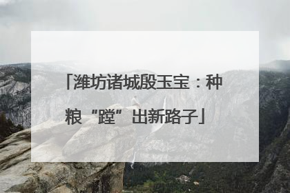 潍坊诸城殷玉宝：种粮“蹚”出新路子